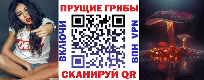 Галлюциногенные грибы прущие грибы это какой сайт Сертолово купить наркотики сайты